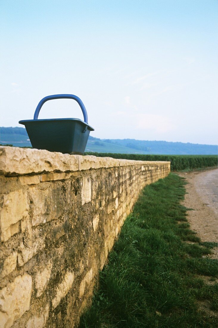 Korb für die Weinlese auf Steinmauer, Romanee-Conti, Burgund