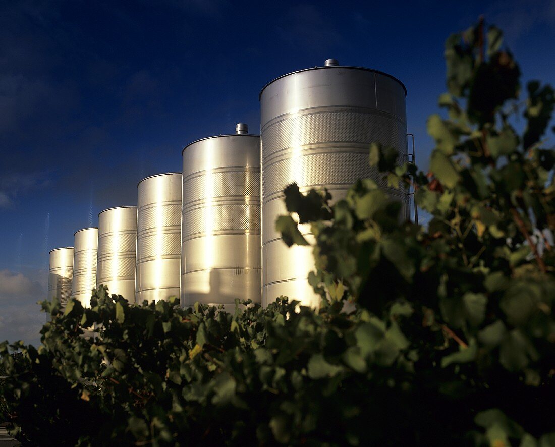Moderne Weintanks hinter Weinberg, Rosemount, Hunter Valley