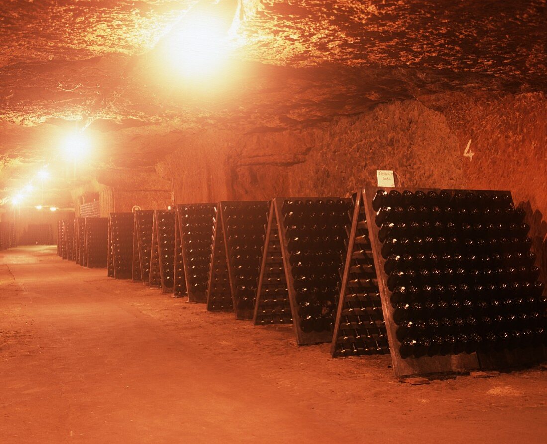 Sparkling wine bottles in pupitre, Loire Valley, France