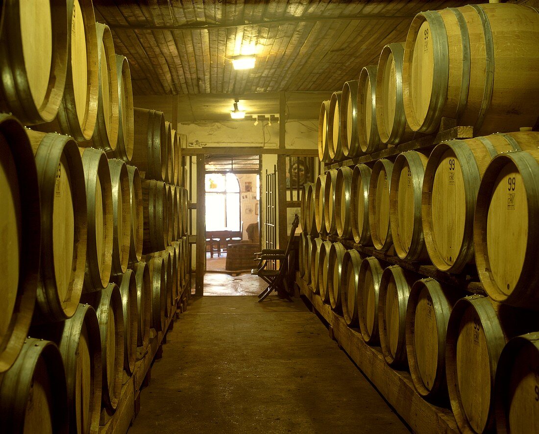 Weinkeller im Weingut Muratie, Stellenbosch, Südafrika