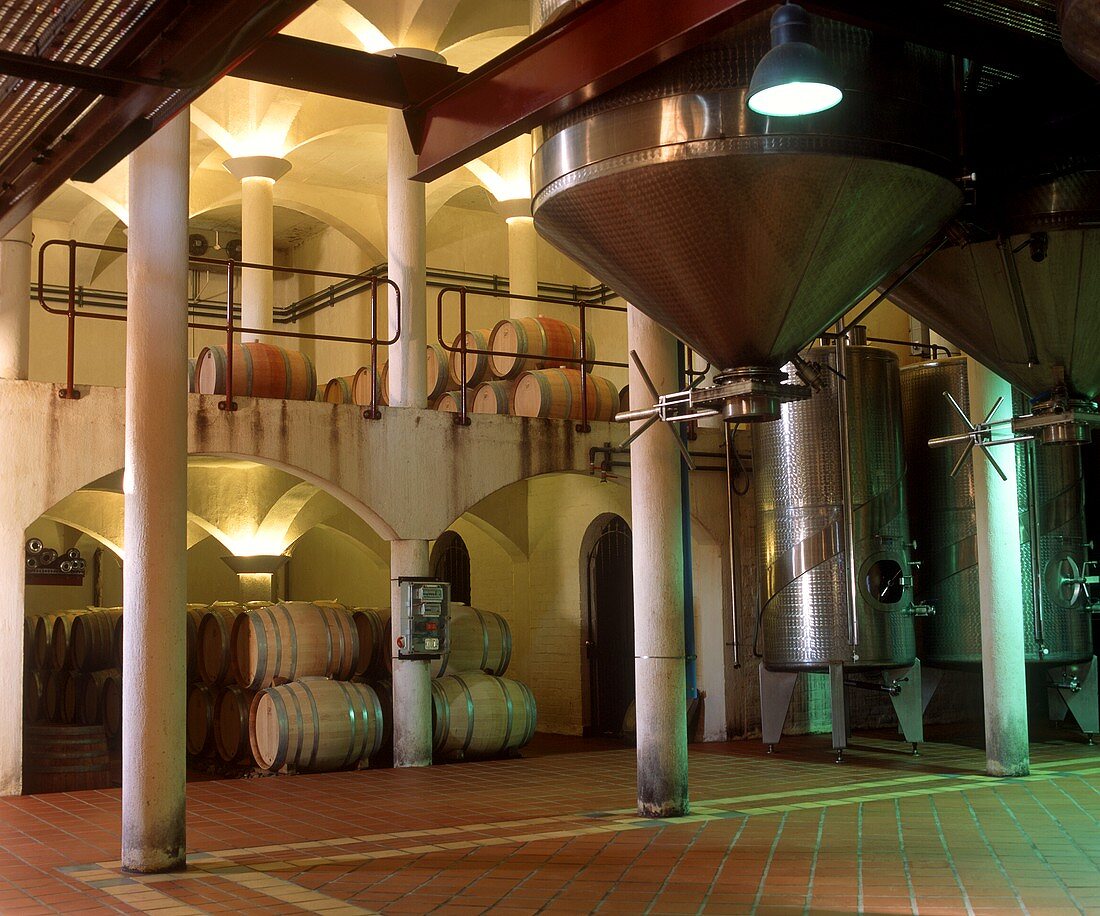 Moderne Weinproduktion im Weingut Cordoba, Stellenbosch