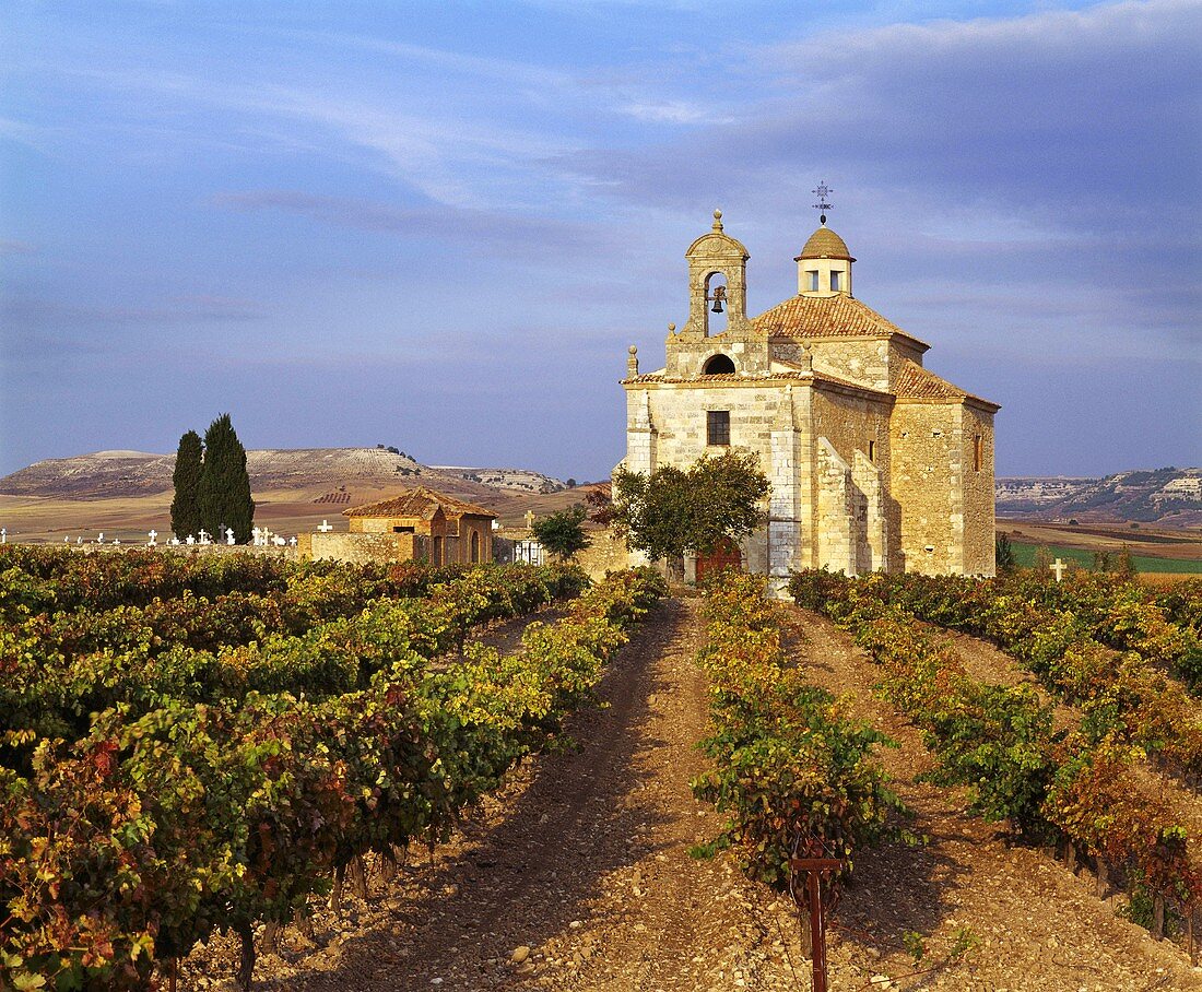 L'Ermita Weinberg mit Kirche über Pesquera de Duero, Spanien