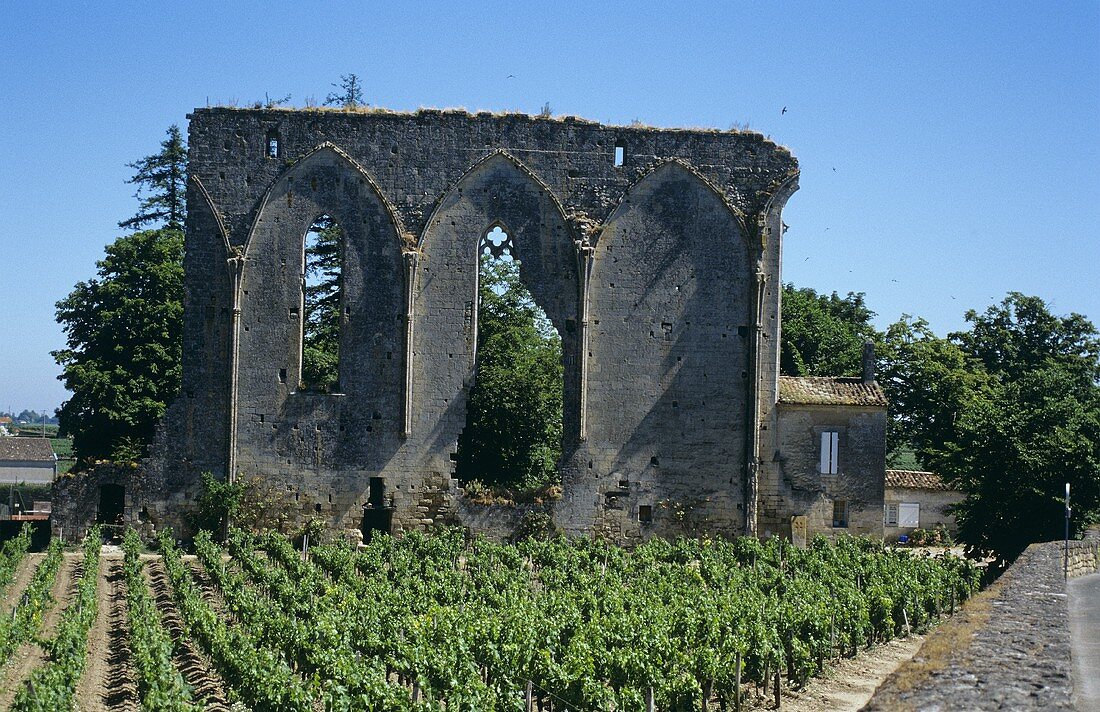Ruinen und Weinberge im Anbaugebiet St. Emilion, Bordeaux