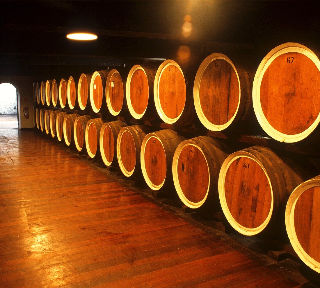Weinlagerung im Weingut Tintara, McLaren Vale, Australien