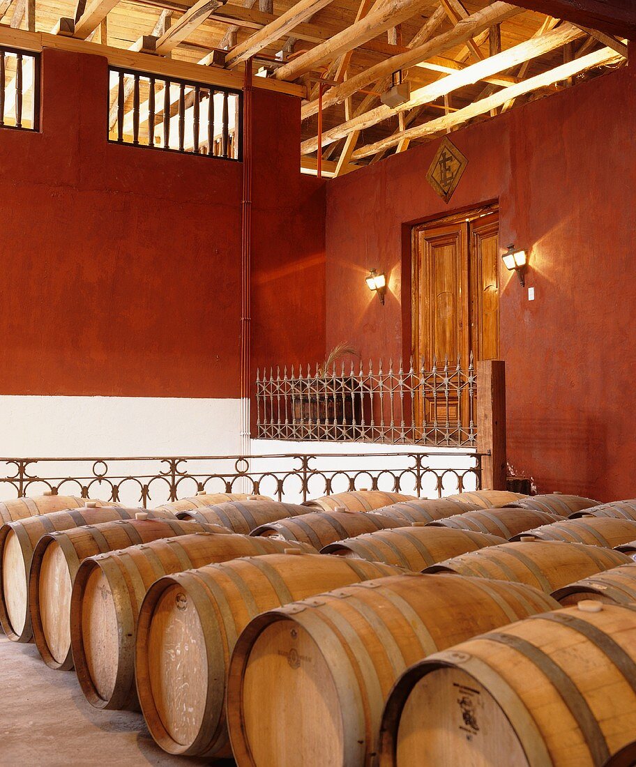 Fine wine cellar of Luis Felipe Edwards Winery, Chile