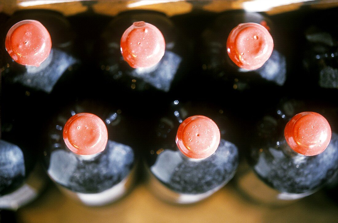 Red wine maturing in magnums (Domaine de Trevallon)