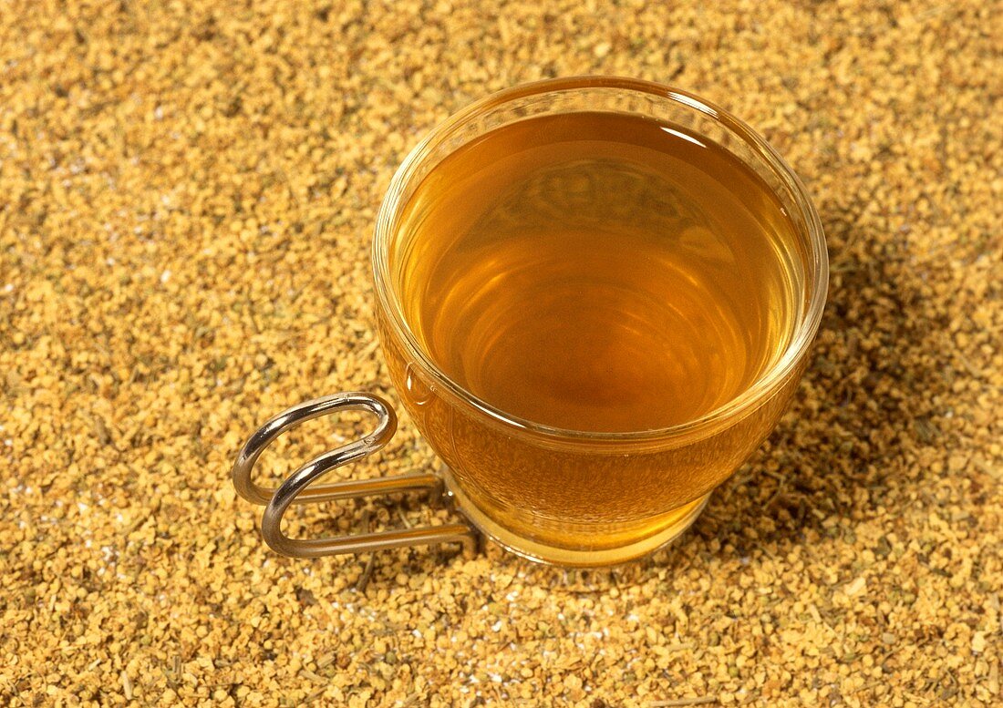 Tee aus schwarzen Holunderblüten (Sambucus niger)