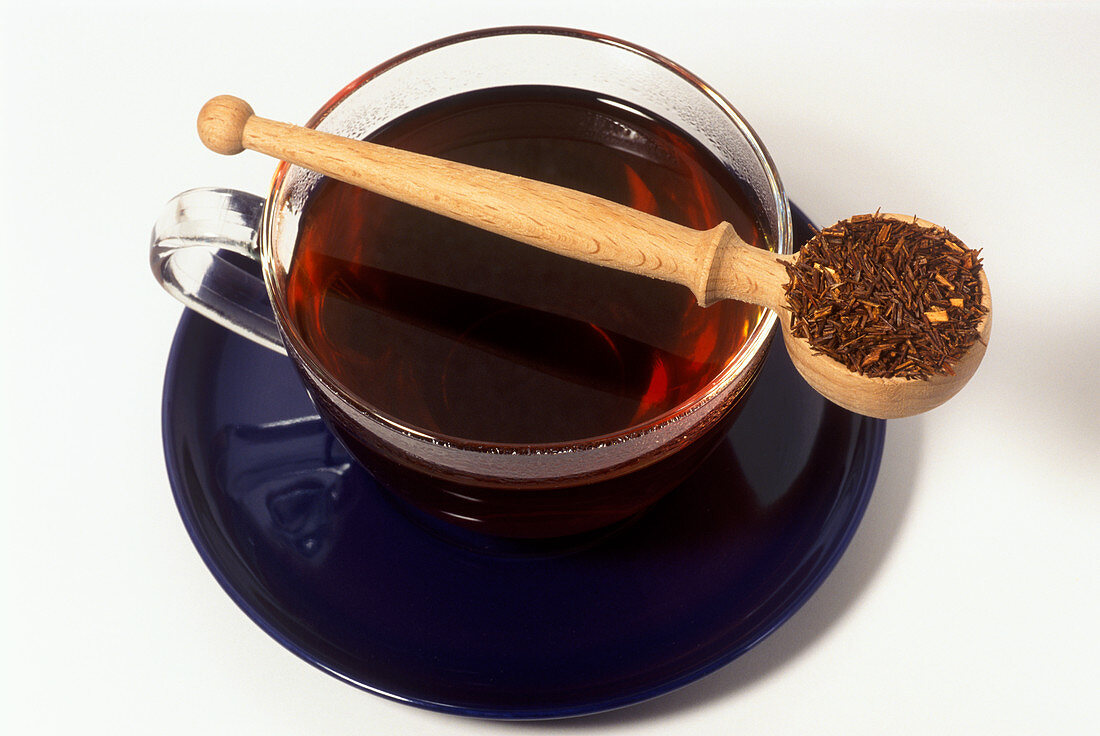 Rooibos tea (Aspalathus linearis)