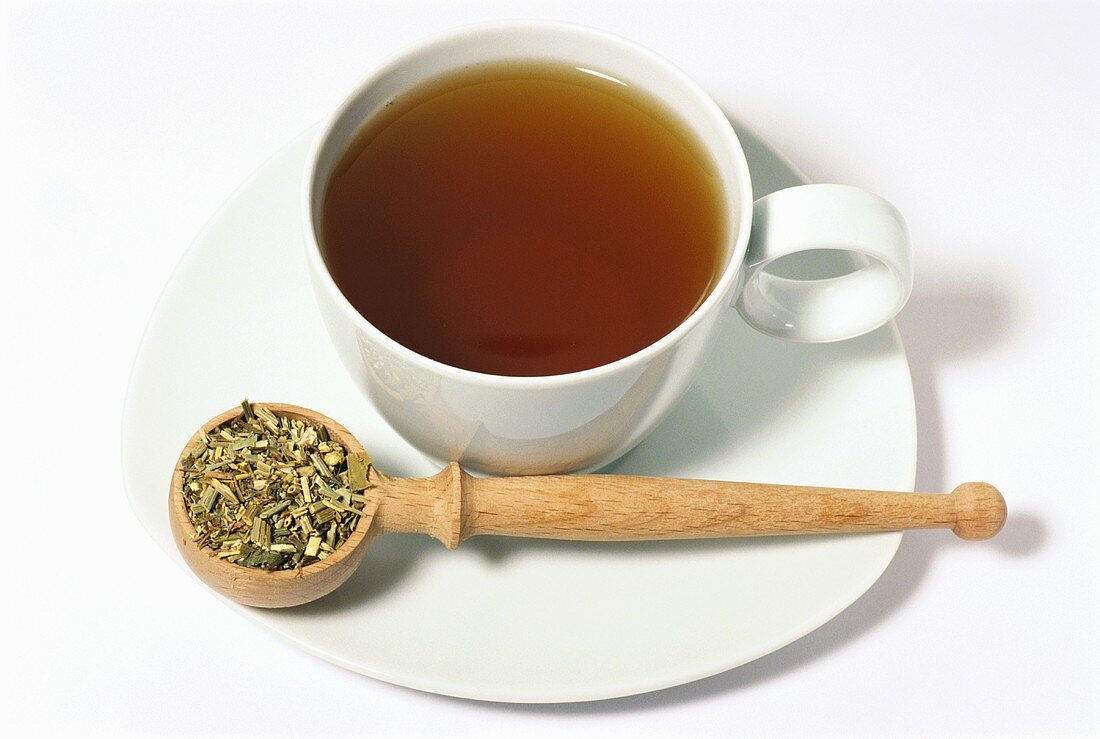 Chicory tea (Cichorium intybus)