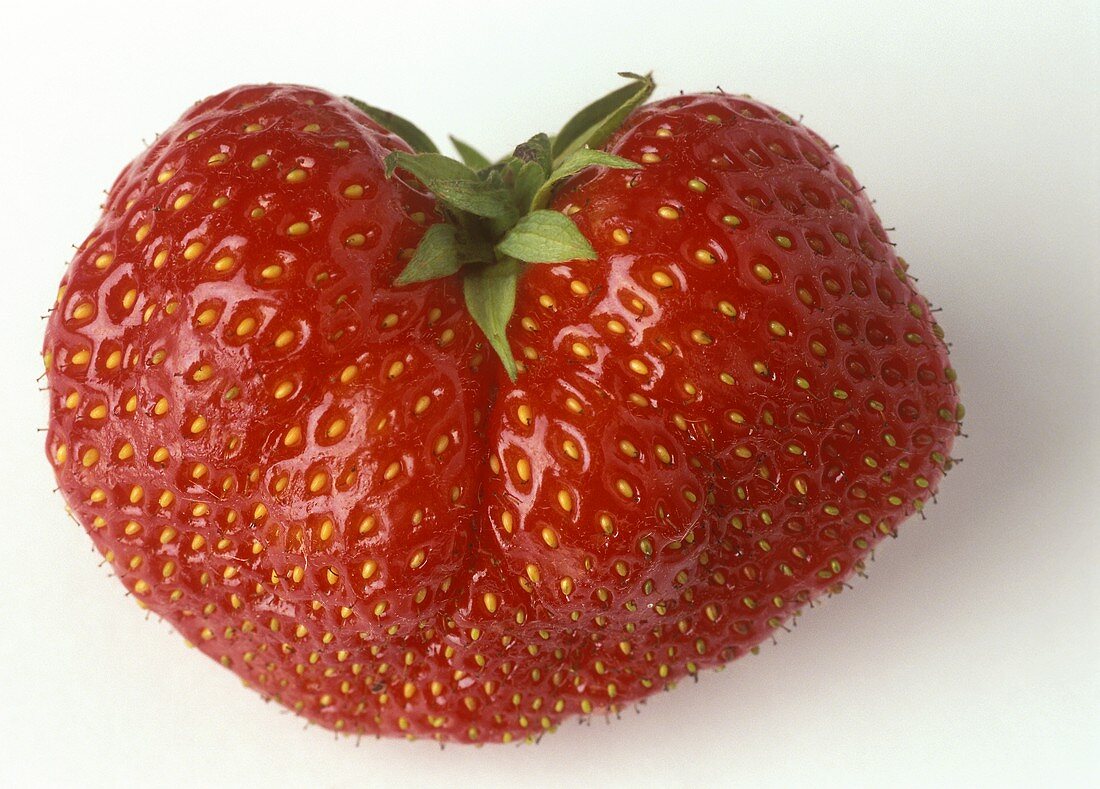 A strawberry (variety: Senga gigantea)