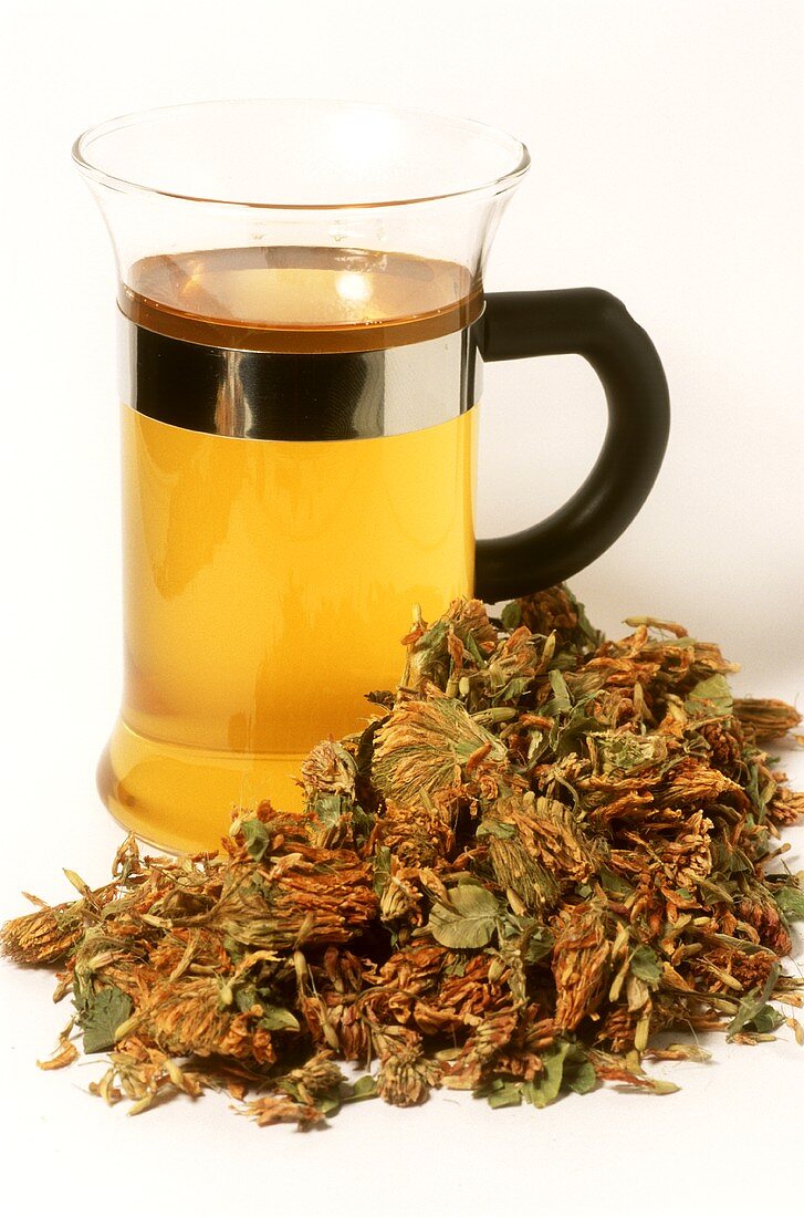 Tee aus Weisskleeblüten und Blüten (Trifolium repens)