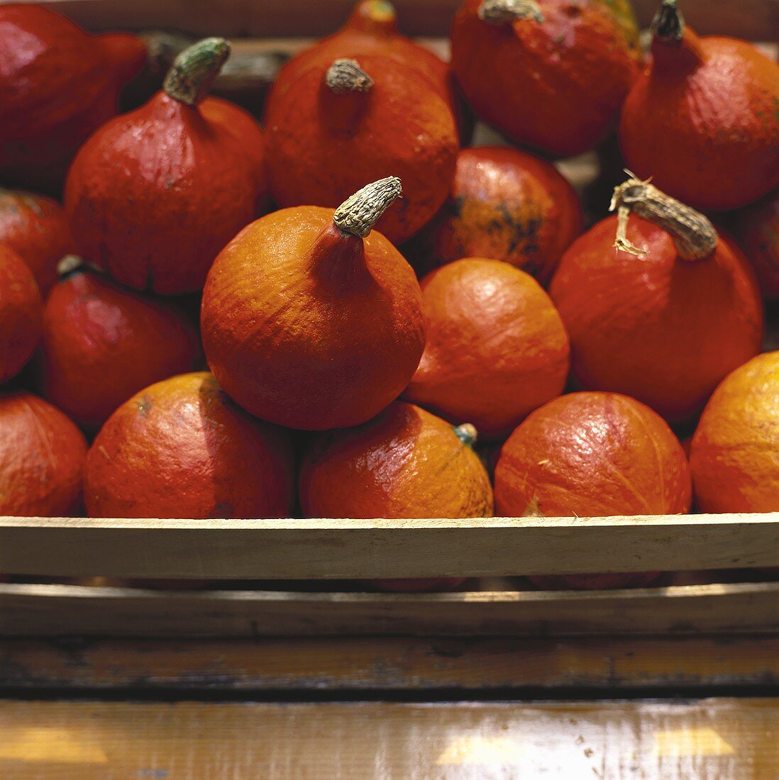 Pumpkins (variety: Oranger Knirps) in a crate