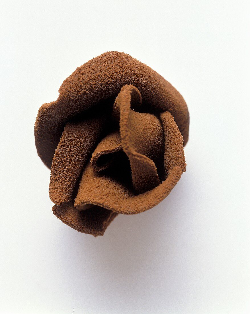 A chocolate rose