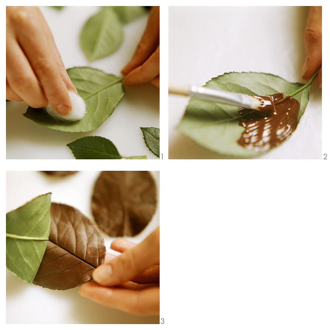 Making chocolate leaves