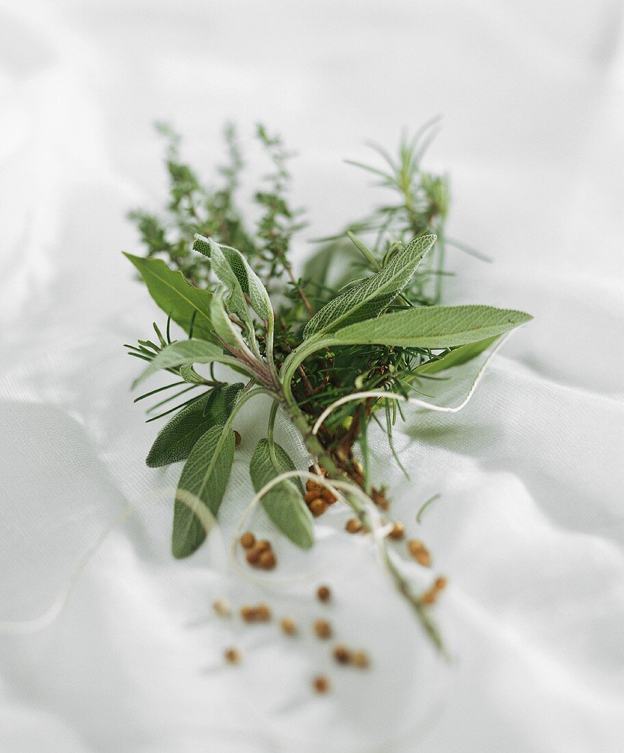 Bunch of herbs: fresh sage, rosemary and thyme