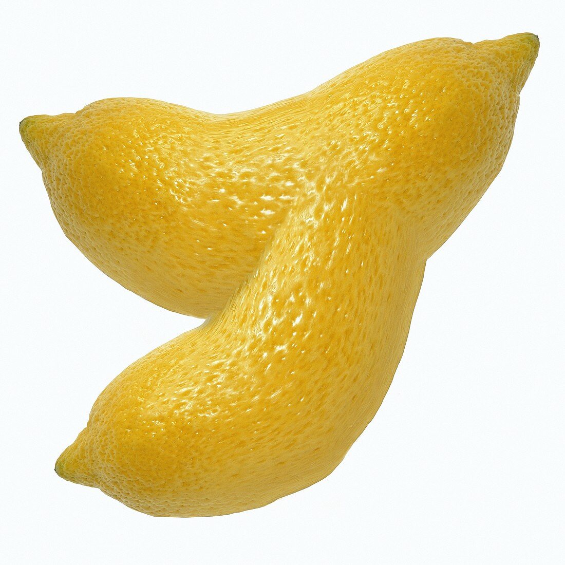 Zusammengewachsene Zitronen