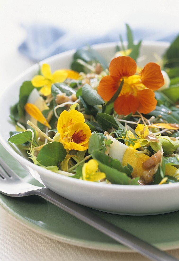 Wildkräuter-Blüten-Salat mit Ei