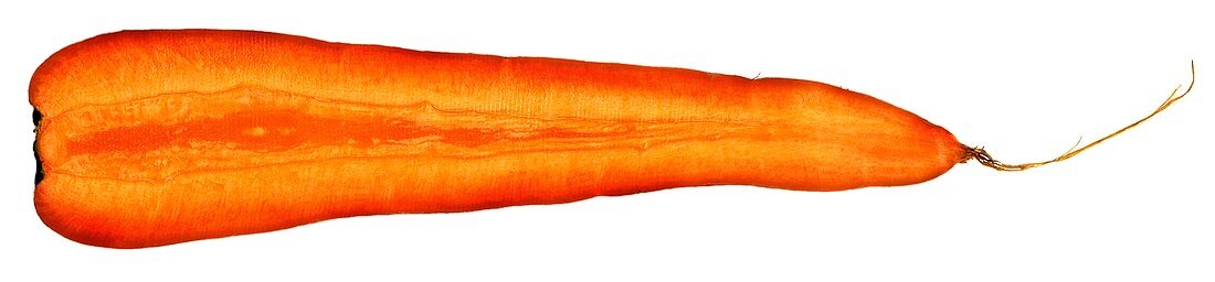 Half a carrot