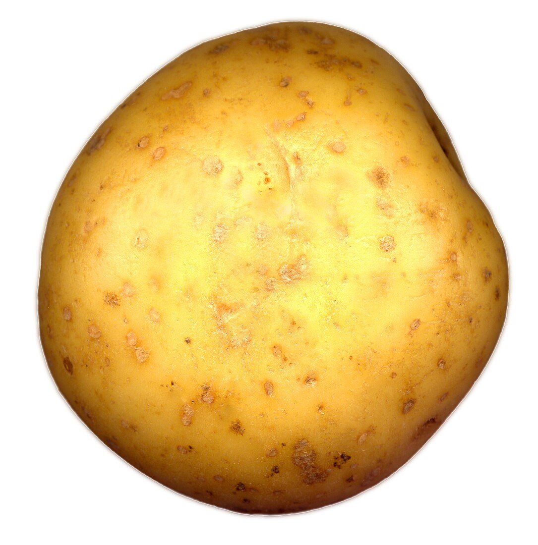 A potato