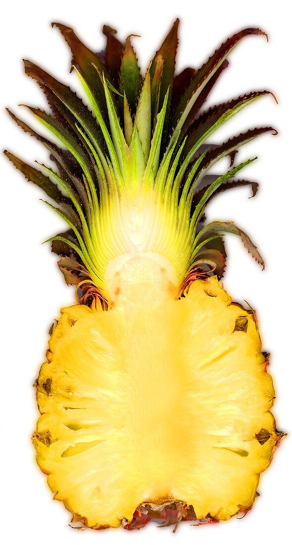 Halved baby pineapple