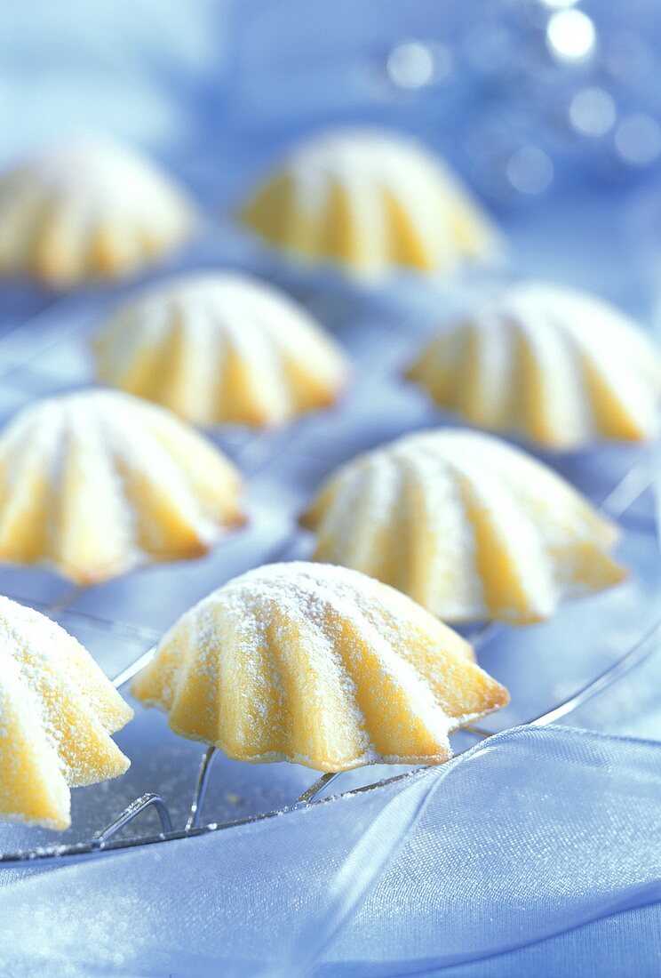 Madeleines (small French cakes)