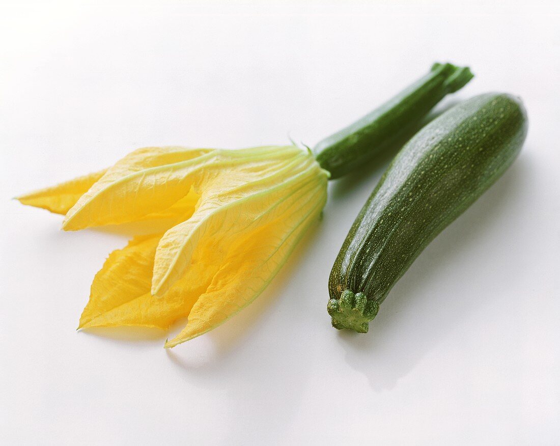Courgettes and courgette flower