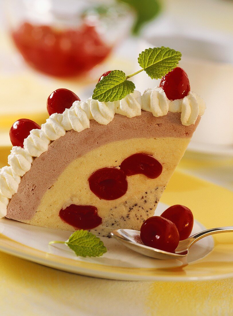 A piece of Black Forest cherry iced bombe