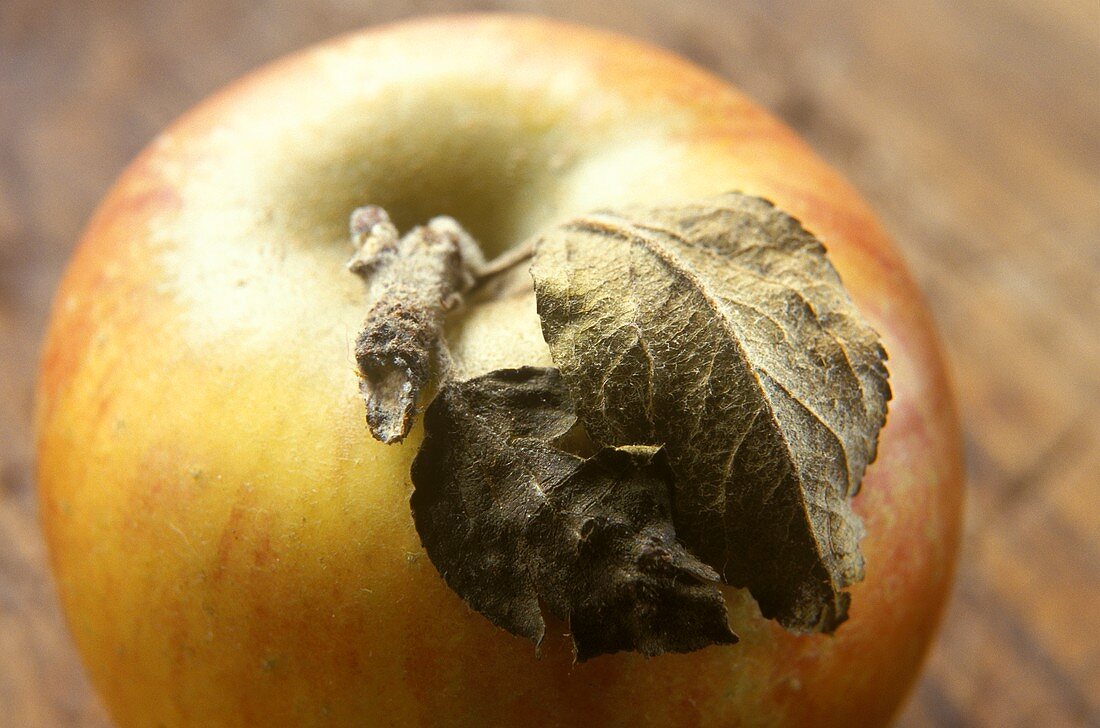 Ein Apfel mit Blättern