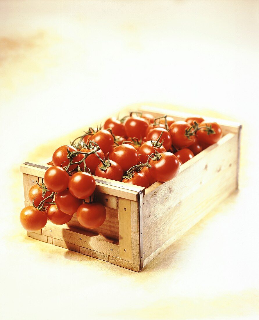 Vine tomatoes in wooden crate