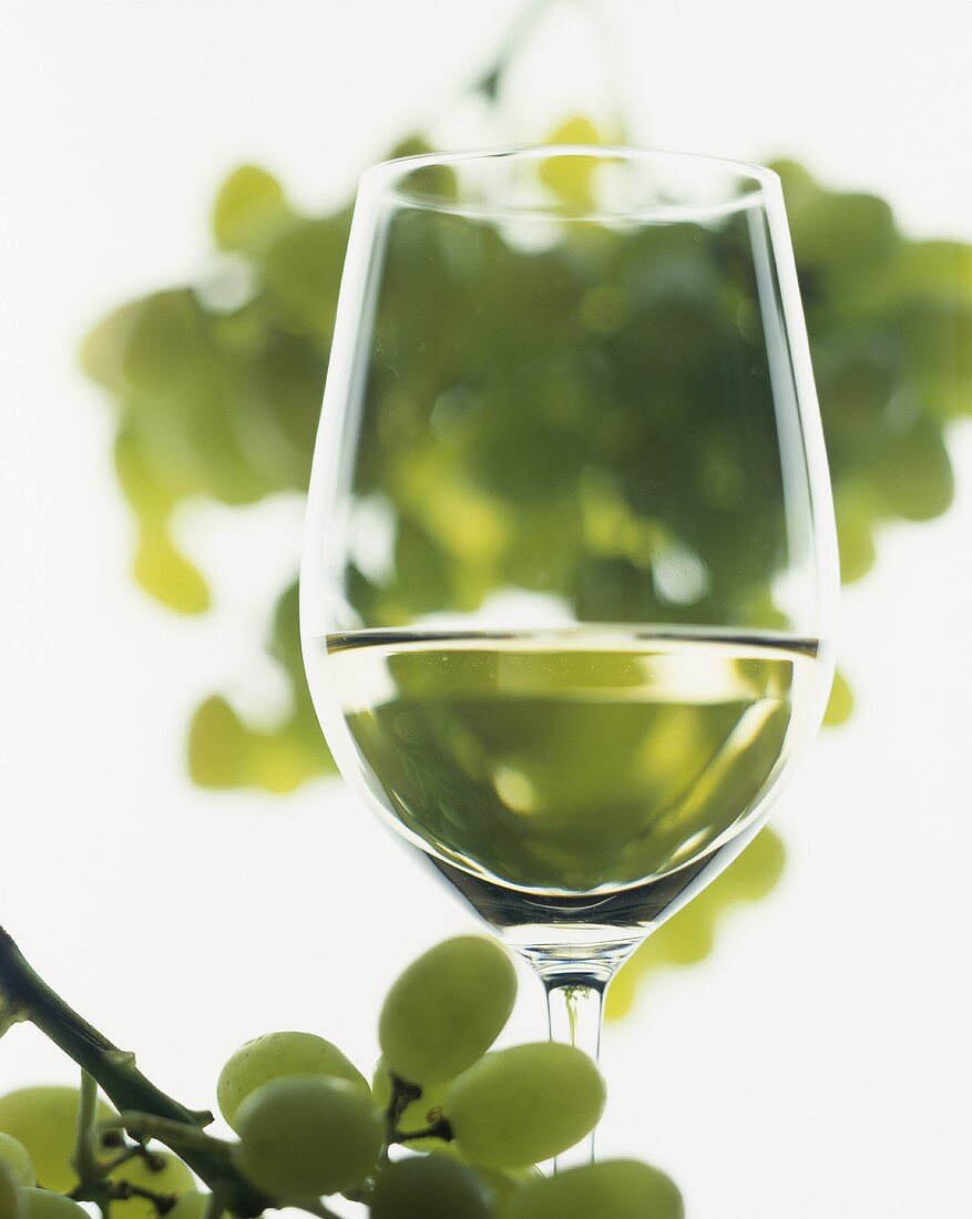 Stillleben mit einem Glas Weißwein und Weissweintrauben