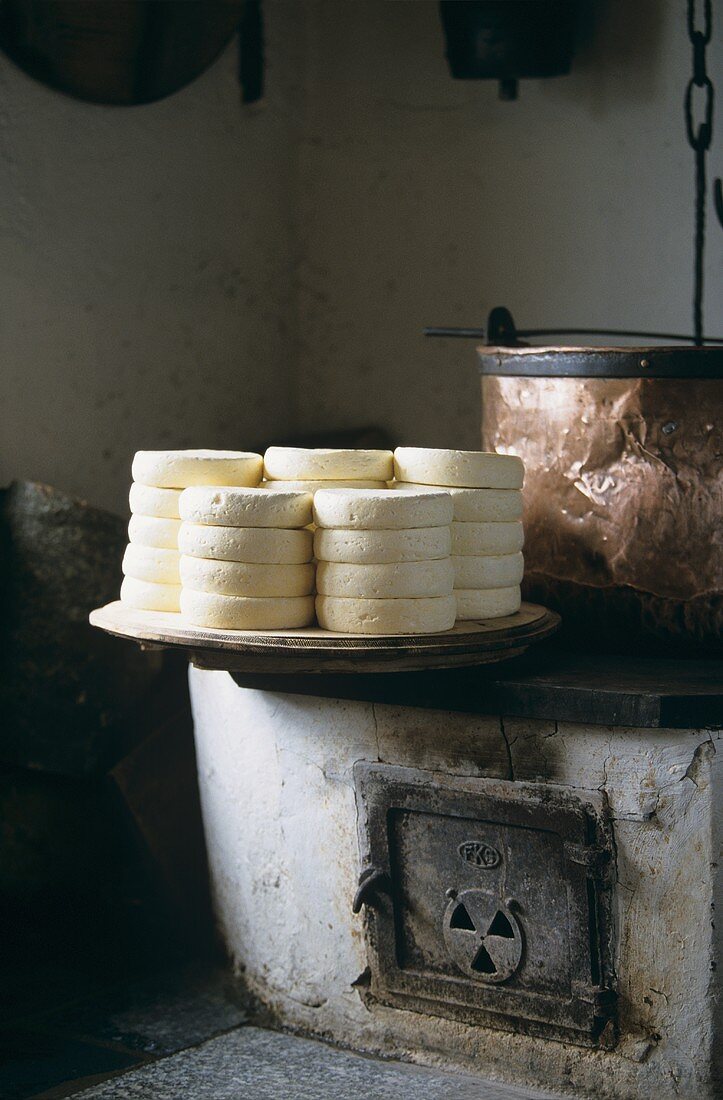 Unripe Munster cheese (Munster cheese production)