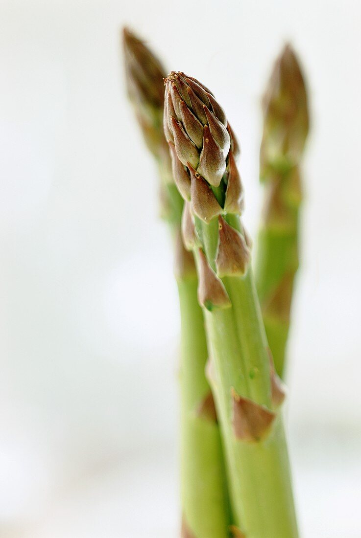 Grüner Spargel