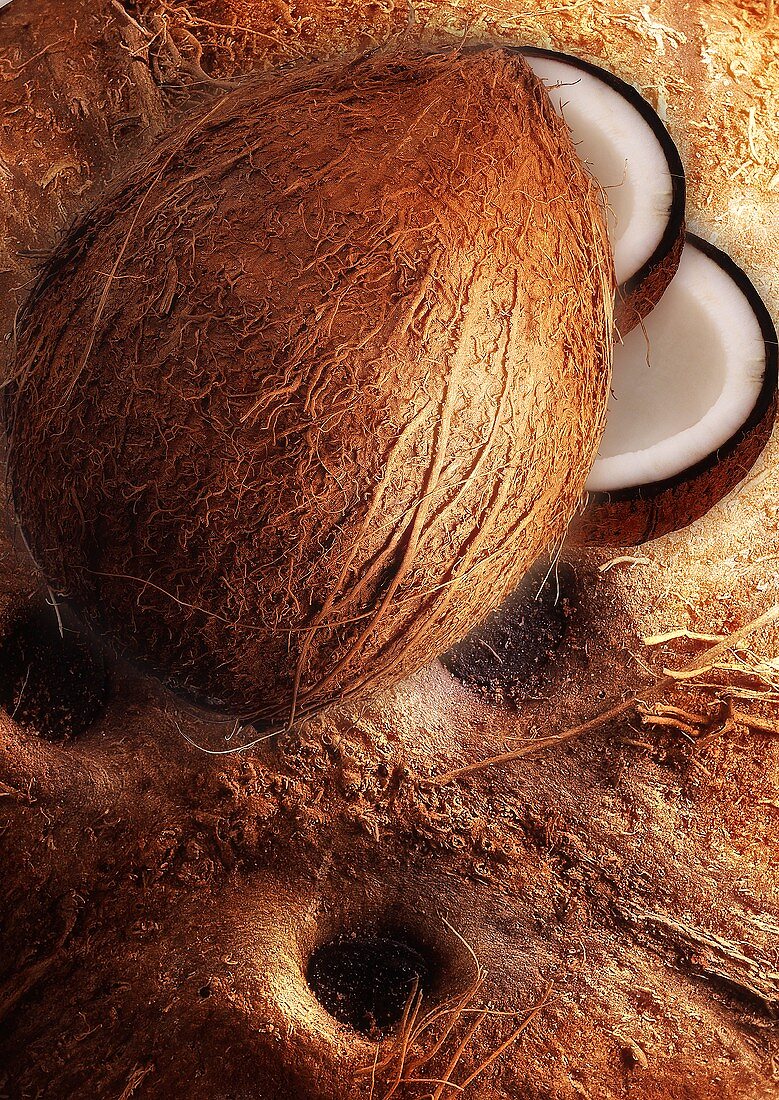 Artistically arranged still life with coconuts