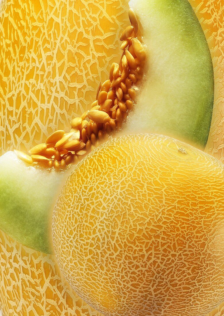 Künstlerisch gestaltetes Stillleben mit Gallia-Melonen