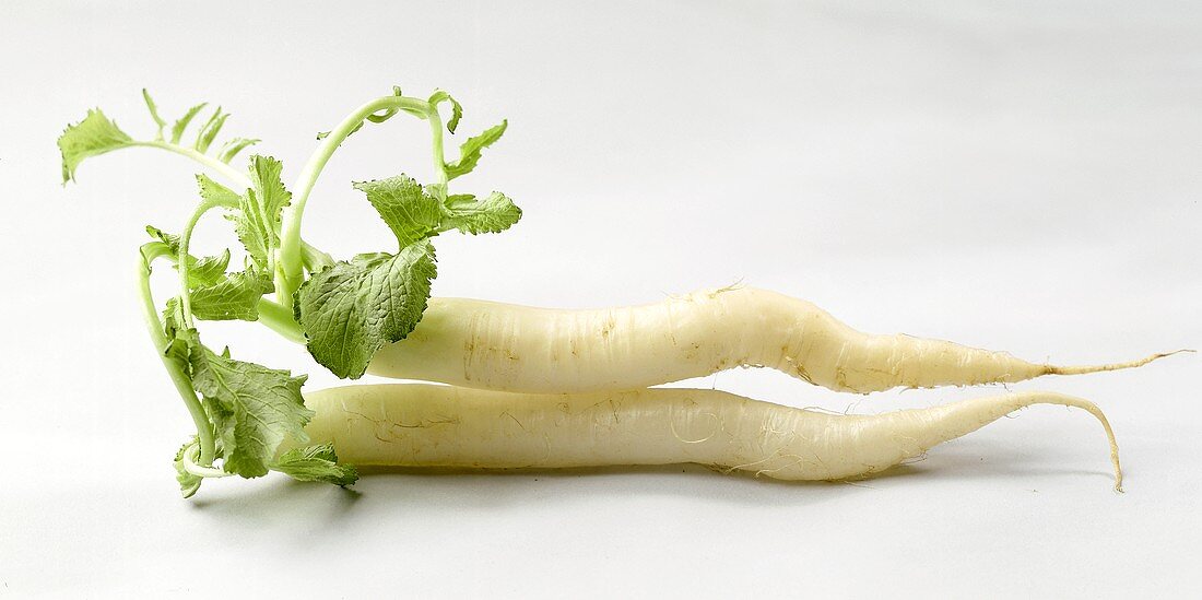 Two white radishes