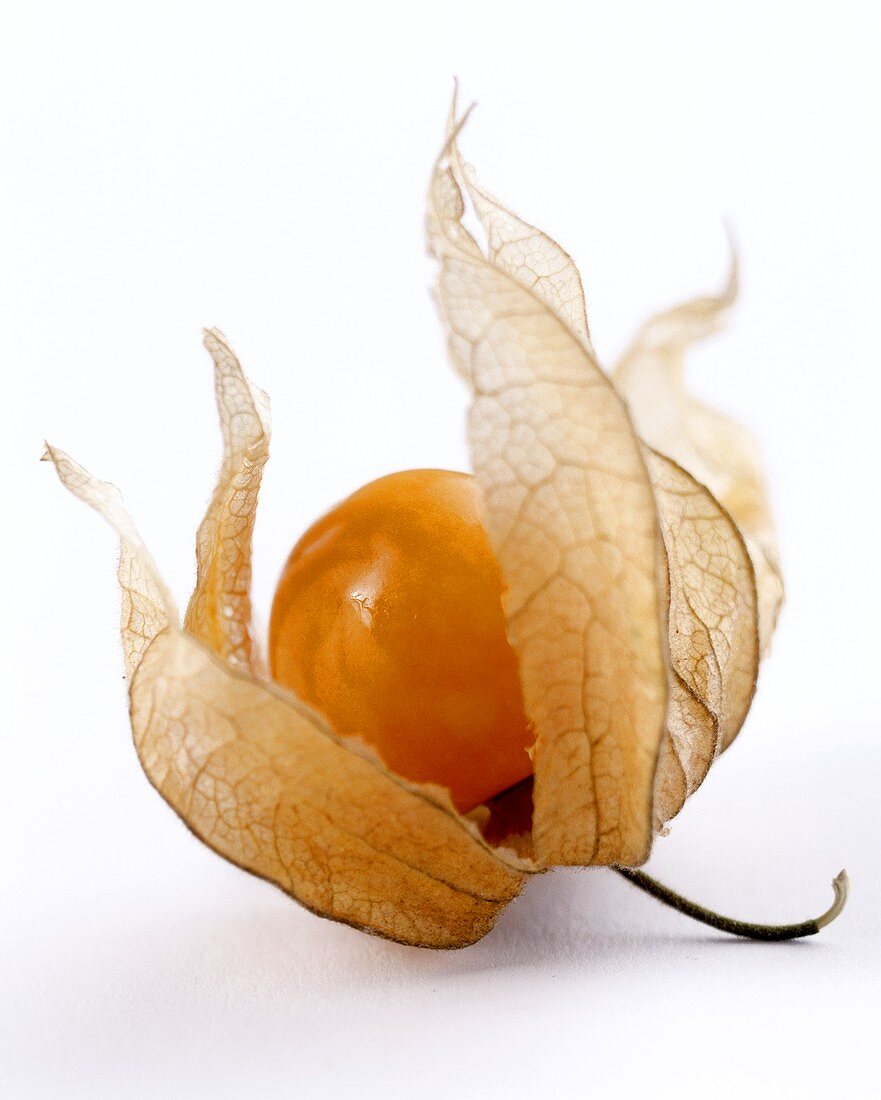 Cape gooseberry with opened case
