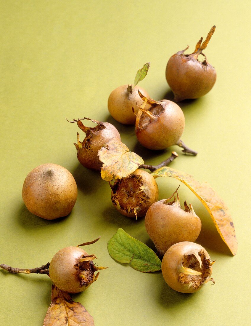 Medlars with leaves on green background