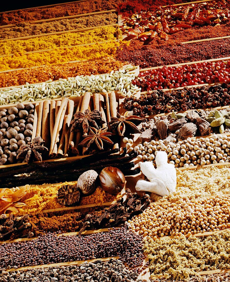 Spice still life, filling the picture