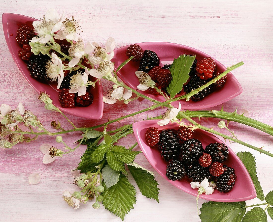 Blackberries in three bowls & blackberry sprigs with flowers