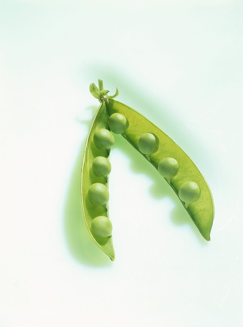 Opened pea pod