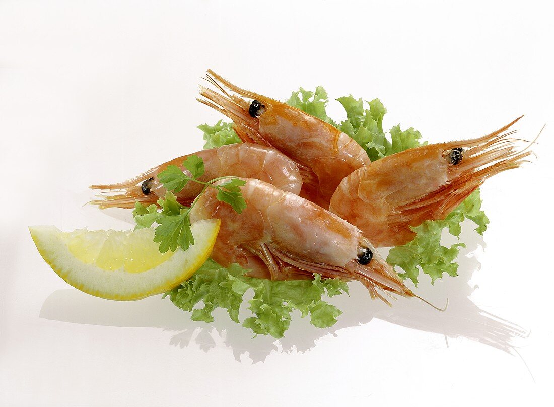 Four shrimps with endive, lemon and parsley