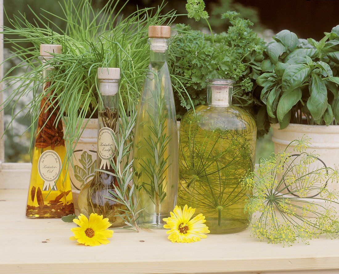Herb oils and herb vinegar on a window-sill