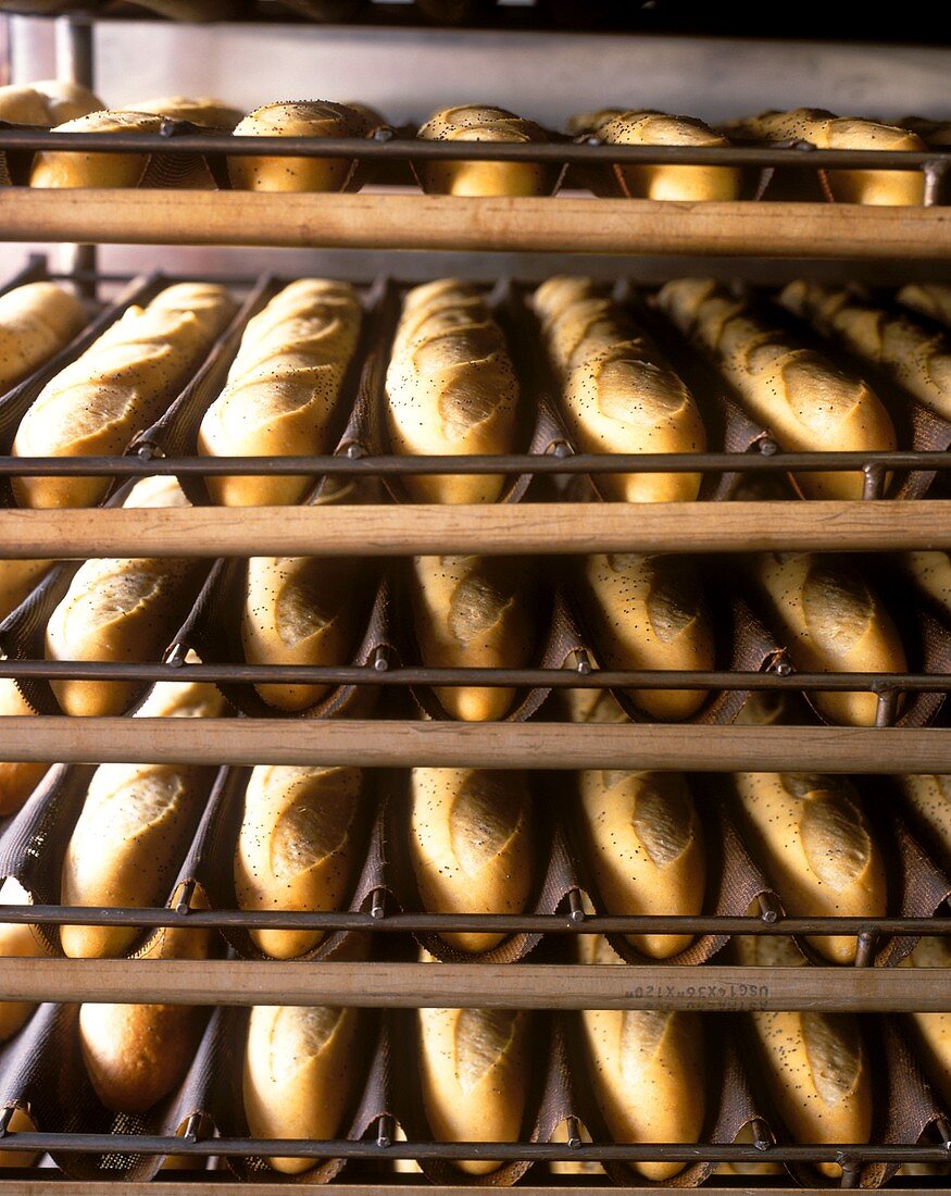 Poppy seed baguettes at baker's