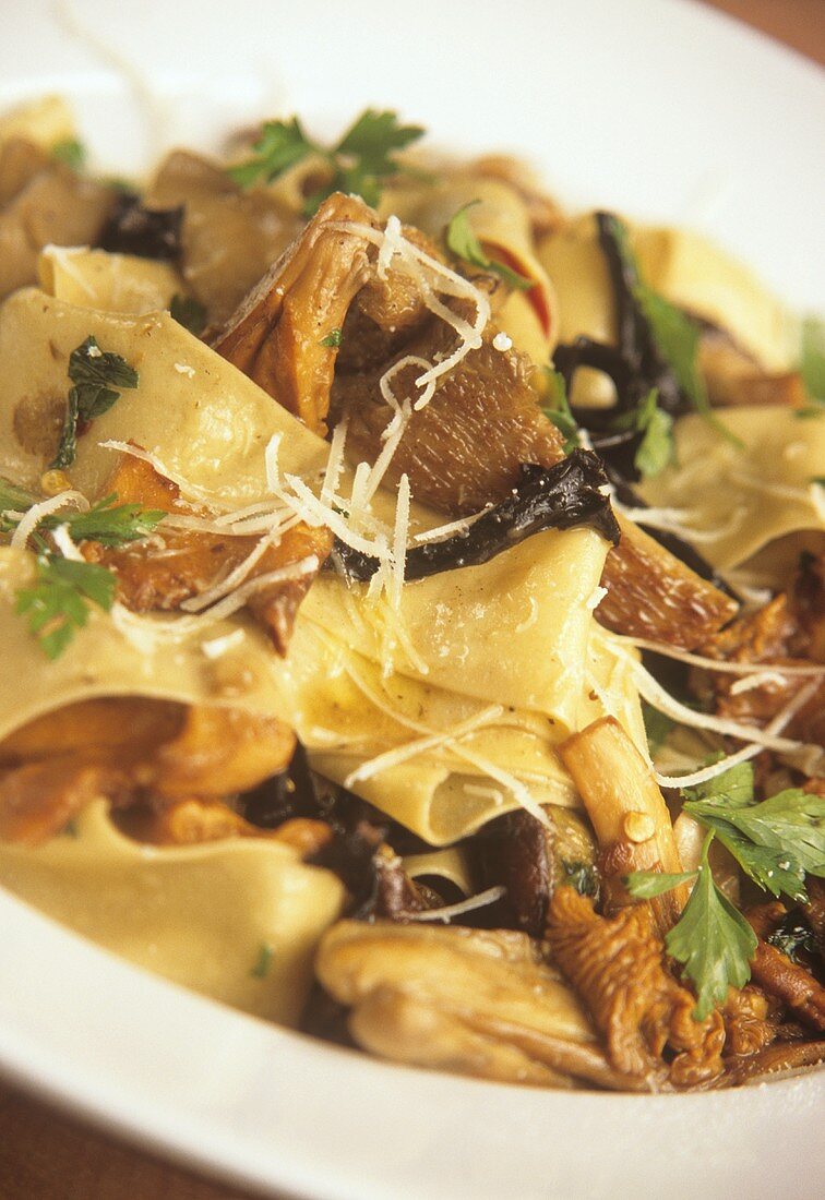 Pappardelle with forest mushrooms, parsley and Parmesan