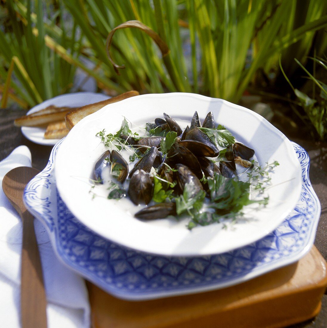 Muscheln in pikanter Kräuter-Weißwein-Sauce