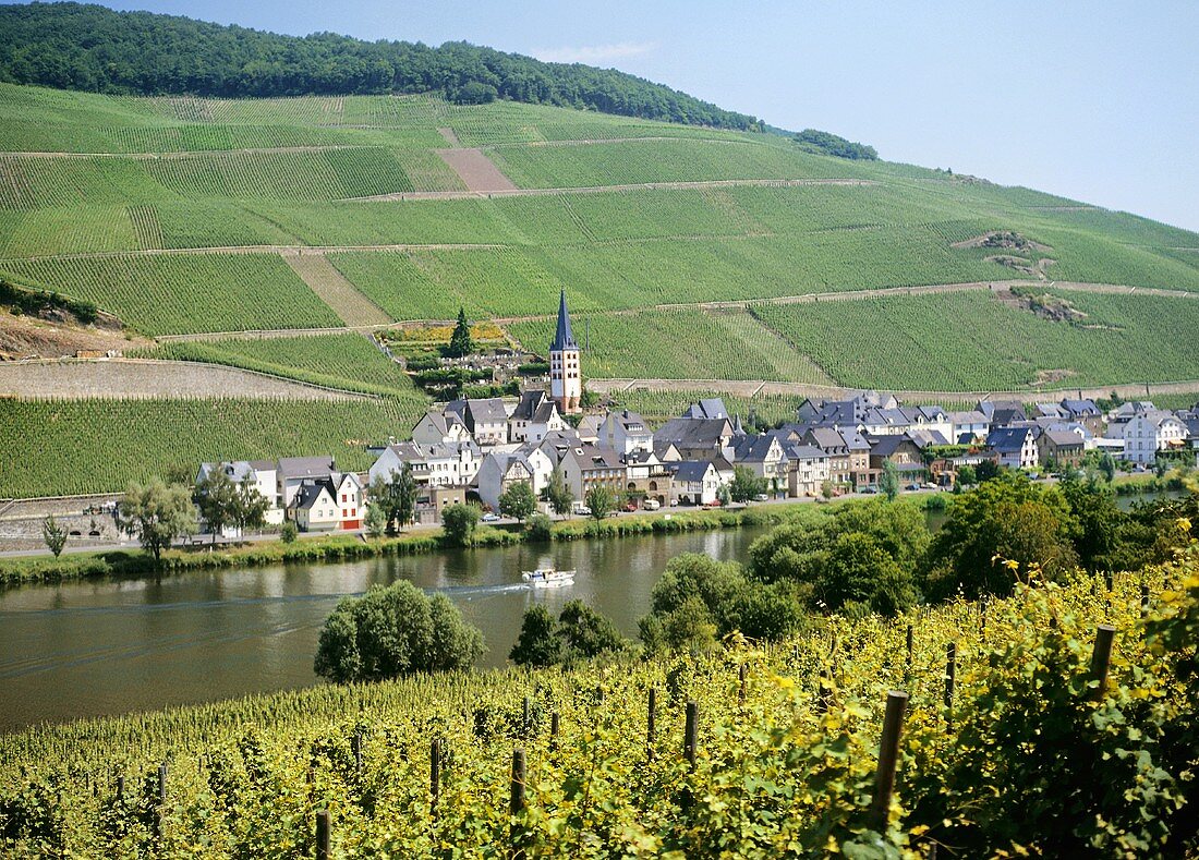 Das Weindorf Merl an der Mosel, Cochem-Zell, Rheinland Pfalz