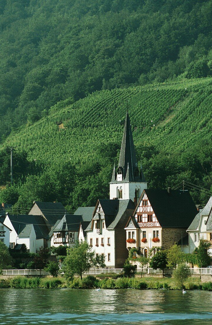 Wine village Briedern an der Mosel, Cochem-Zell,Rheinland Pfalz