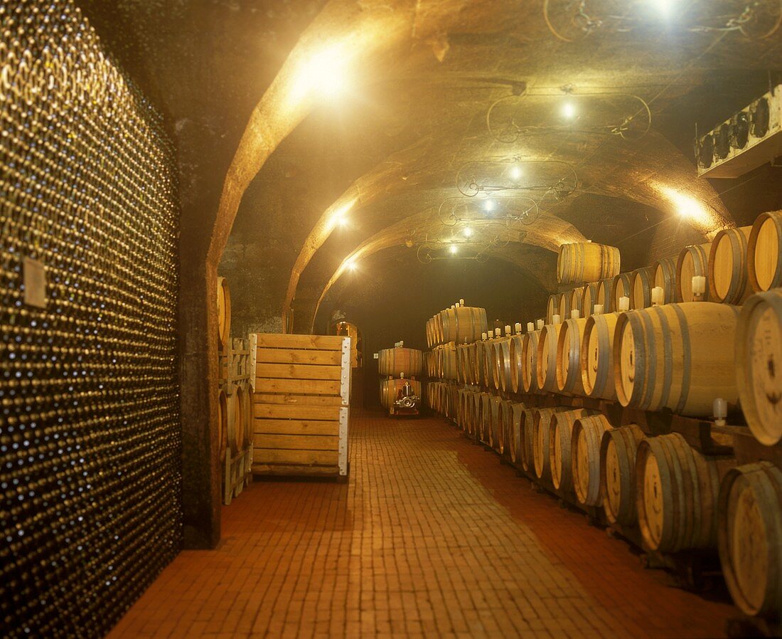 Weinkeller im Weingut Chamonix, Franschhoek, Südafrika