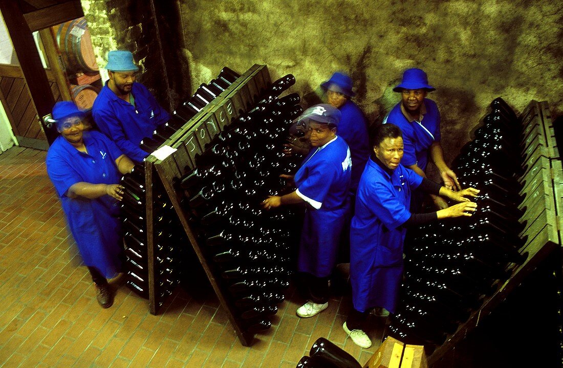 Worker at pupitres, Buitenverwachting Winery, S. Africa