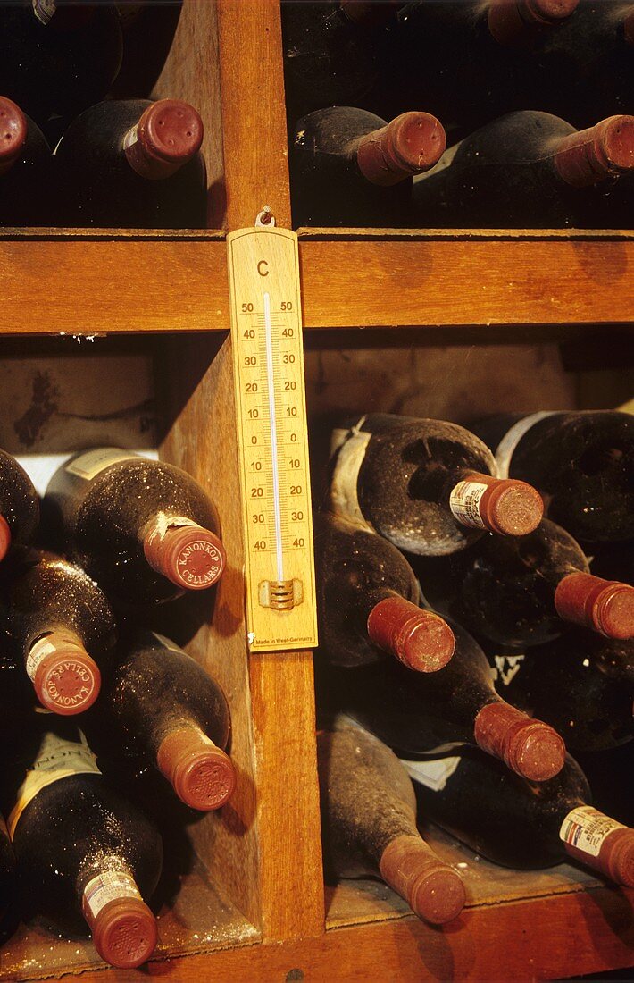 Old wine bottles in Kanonkop wine museum, S. Africa